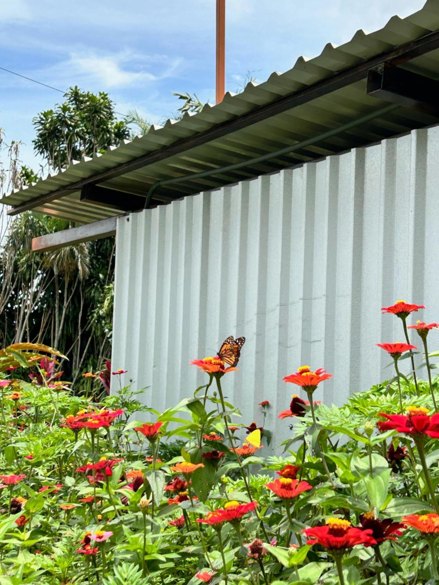 B&B Garden Grecia Bagian luar foto