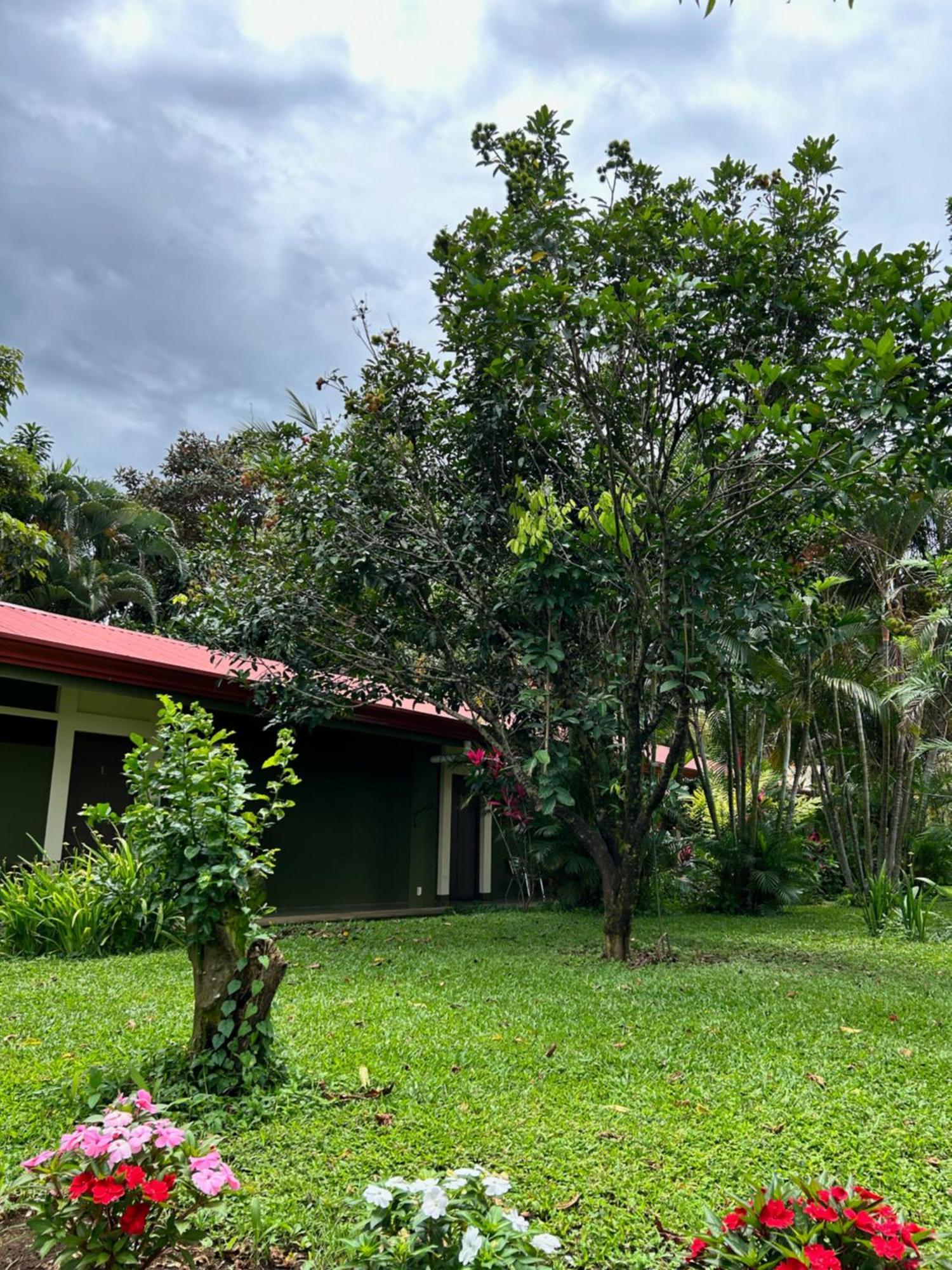 B&B Garden Grecia Bagian luar foto