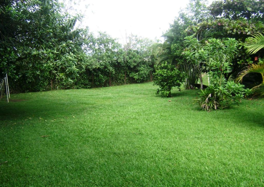 B&B Garden Grecia Ruang foto